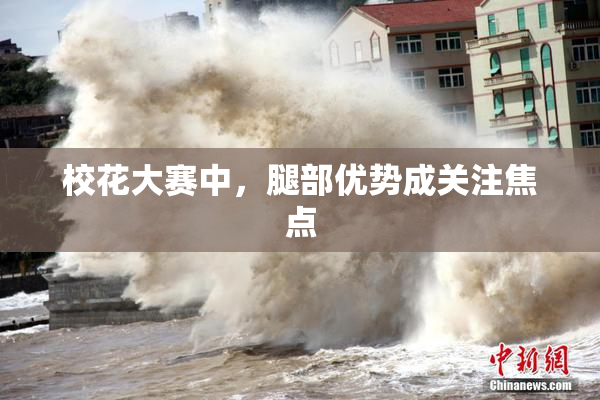 校花大赛中，腿部优势成关注焦点