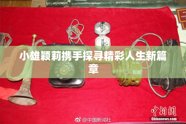 小雄颖莉携手探寻精彩人生新篇章