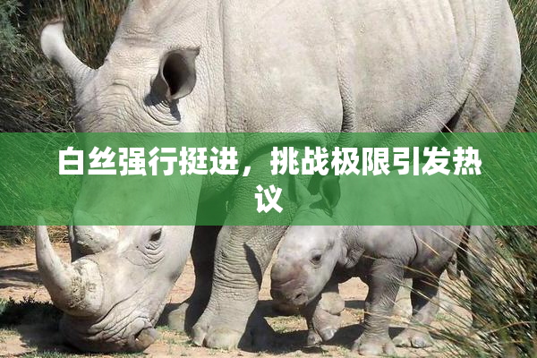 白丝强行挺进，挑战极限引发热议