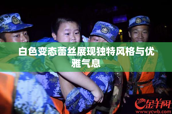 白色变态蕾丝展现独特风格与优雅气息