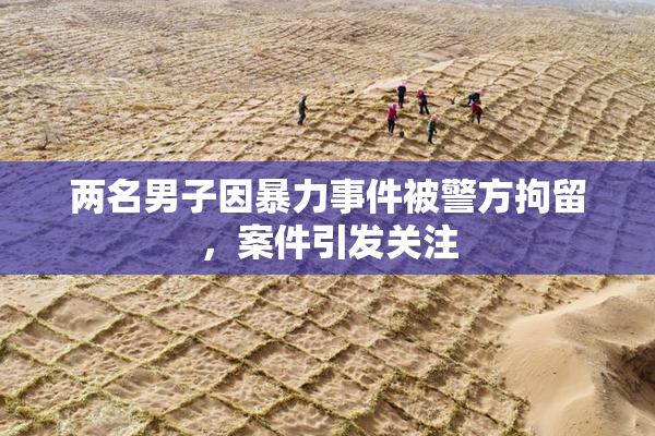 两名男子因暴力事件被警方拘留，案件引发关注