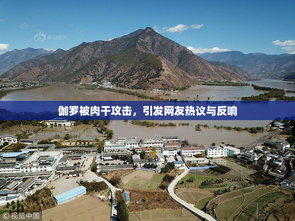 伽罗被肉干攻击，引发网友热议与反响