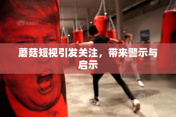 蘑菇短视引发关注，带来警示与启示