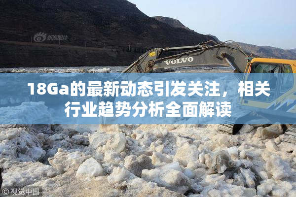 18Ga的最新动态引发关注，相关行业趋势分析全面解读