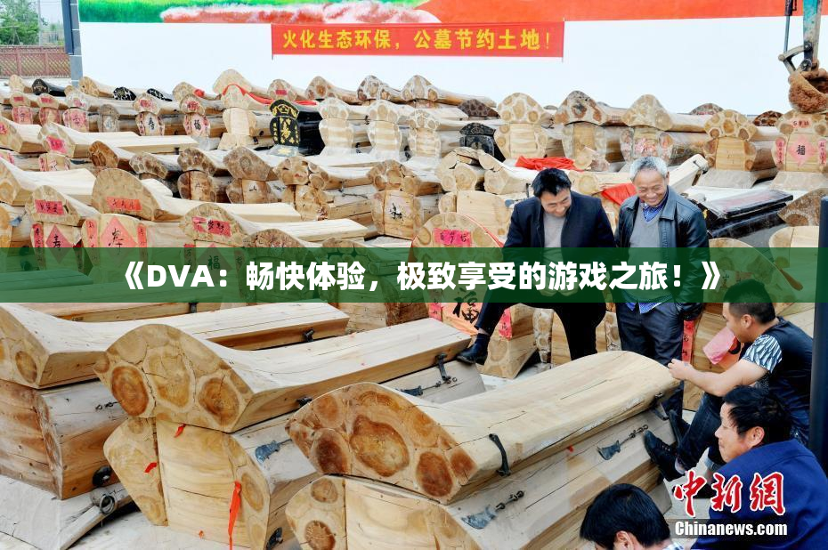 《DVA：畅快体验，极致享受的游戏之旅！》