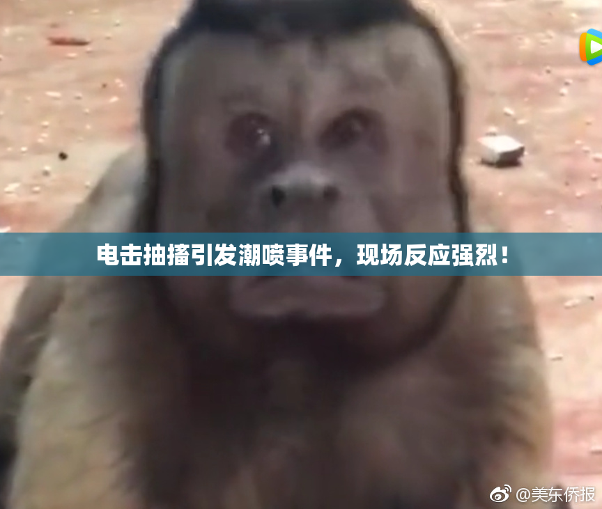 电击抽搐引发潮喷事件，现场反应强烈！