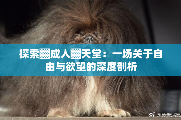 探索▓成人▓天堂：一场关于自由与欲望的深度剖析
