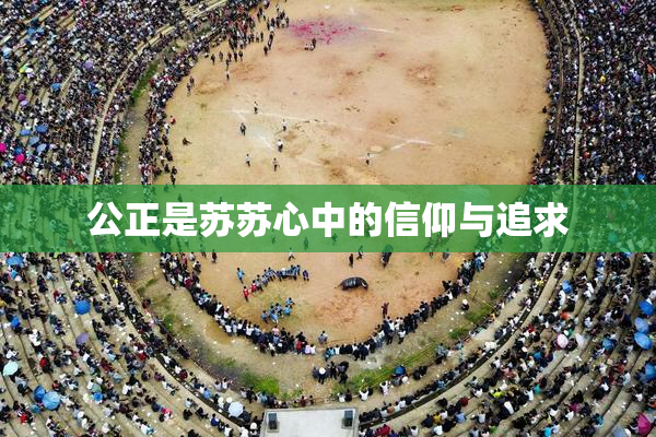 公正是苏苏心中的信仰与追求