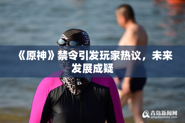 《原神》禁令引发玩家热议，未来发展成疑