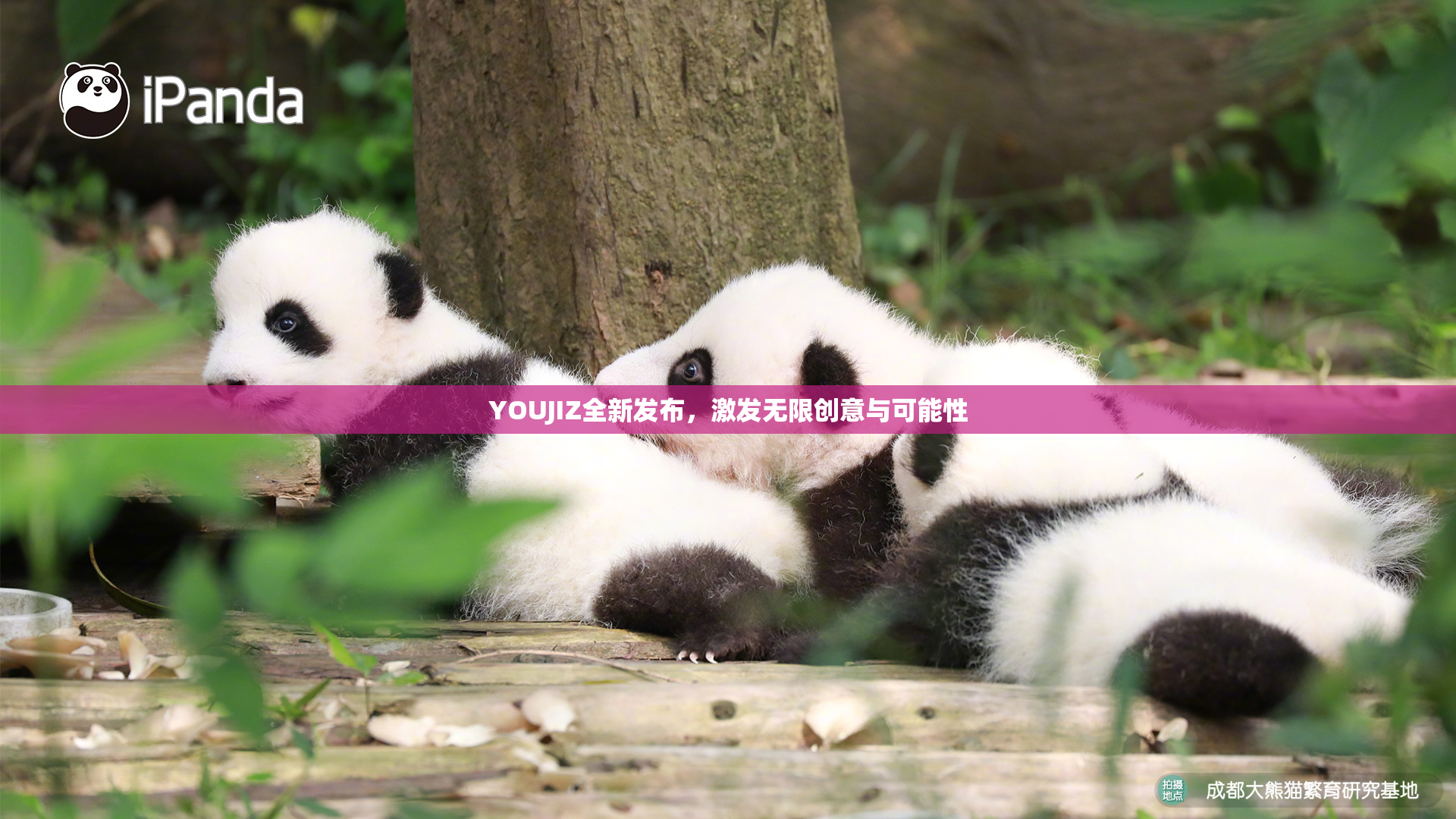 YOUJIZ全新发布，激发无限创意与可能性