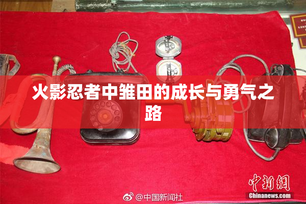 火影忍者中雏田的成长与勇气之路