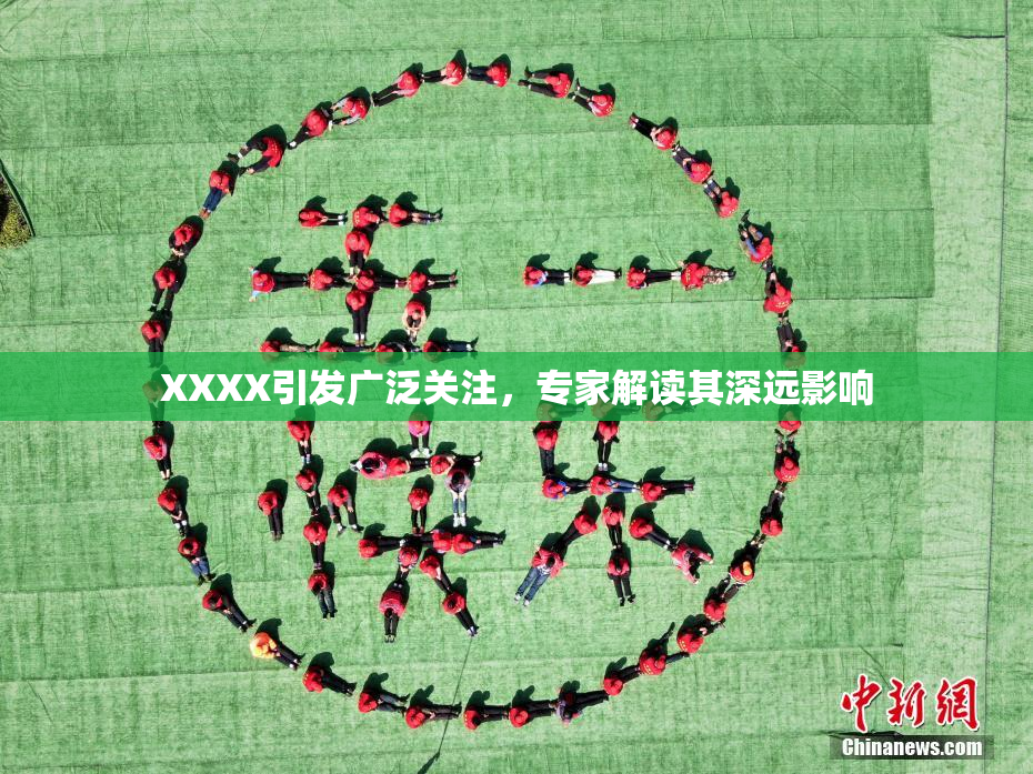 XXXX引发广泛关注，专家解读其深远影响