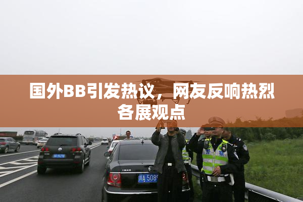 国外BB引发热议，网友反响热烈各展观点
