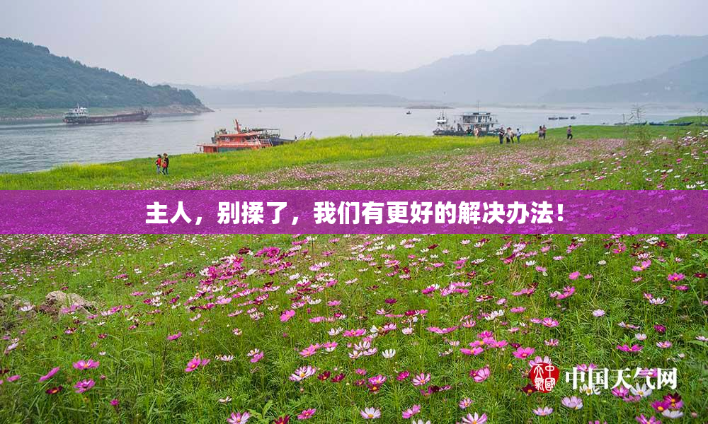 主人，别揉了，我们有更好的解决办法！