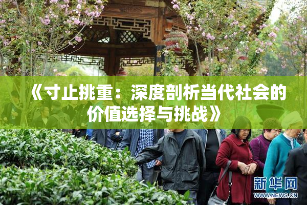 《寸止挑重：深度剖析当代社会的价值选择与挑战》