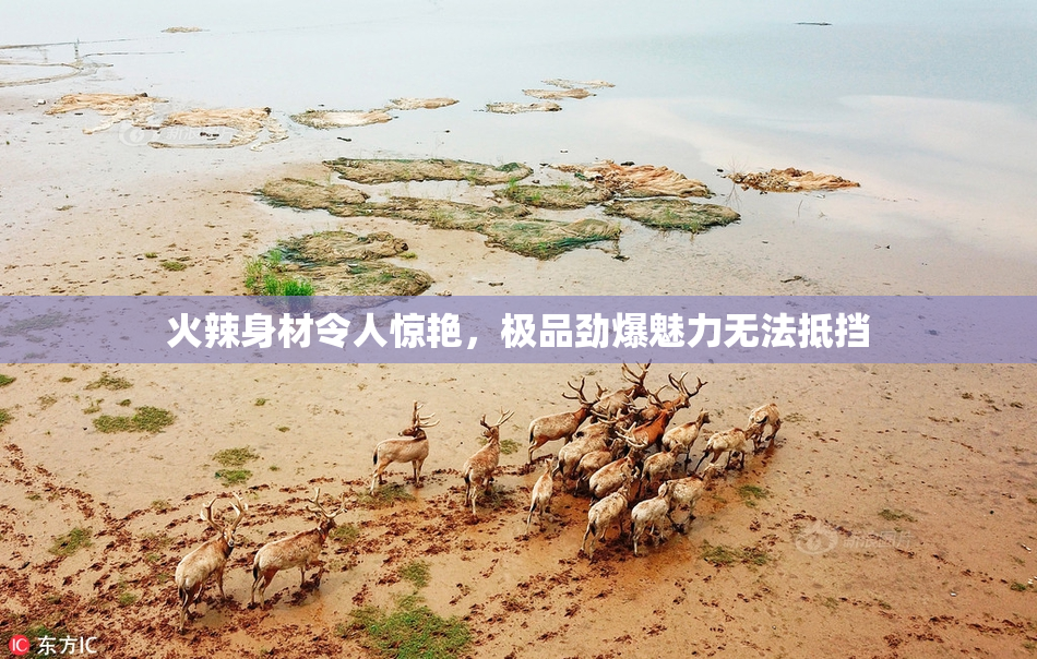 火辣身材令人惊艳，极品劲爆魅力无法抵挡