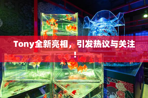 Tony全新亮相，引发热议与关注！
