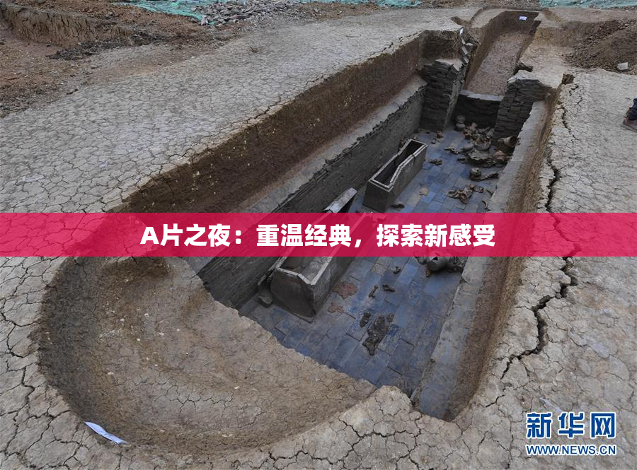 A片之夜：重温经典，探索新感受