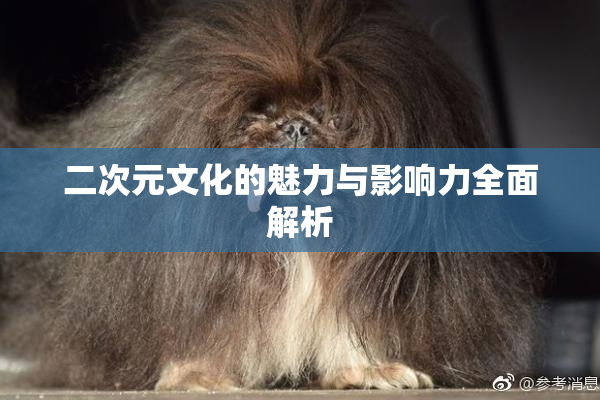 二次元文化的魅力与影响力全面解析