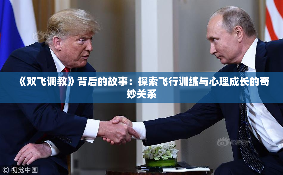 《双飞调教》背后的故事：探索飞行训练与心理成长的奇妙关系