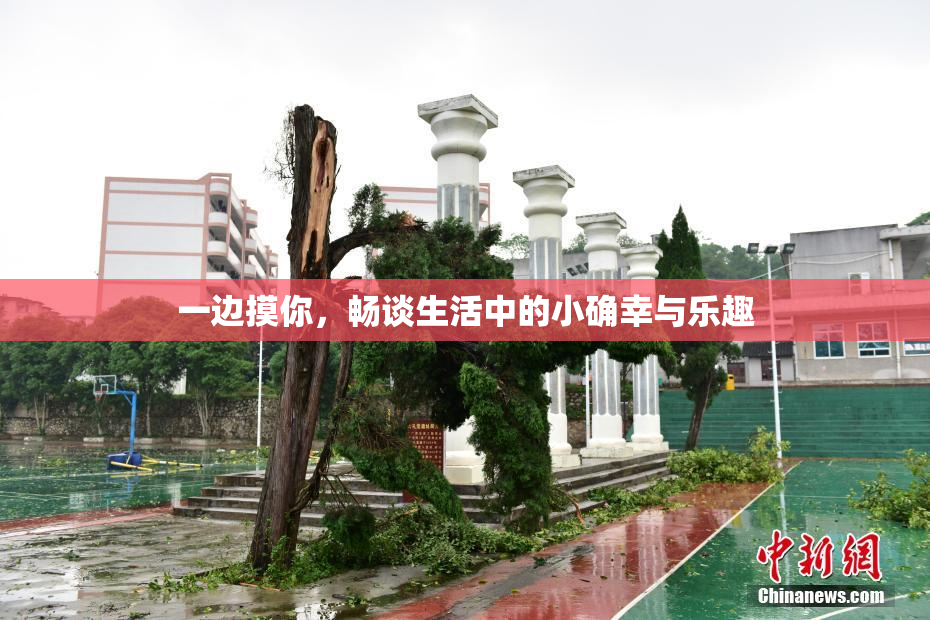 一边摸你，畅谈生活中的小确幸与乐趣