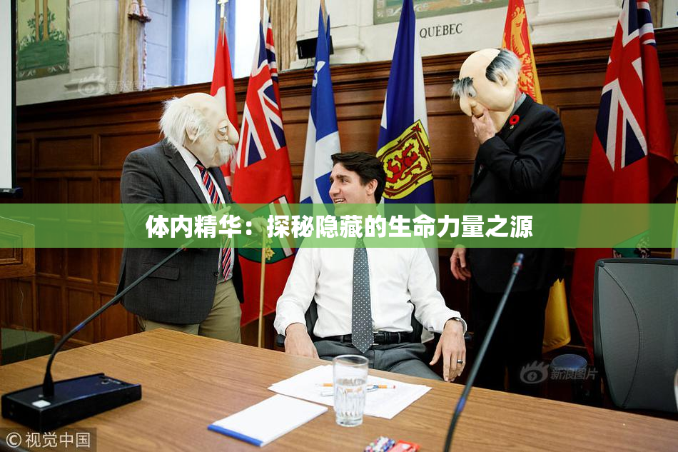 体内精华：探秘隐藏的生命力量之源