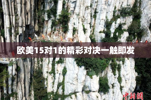 欧美15对1的精彩对决一触即发