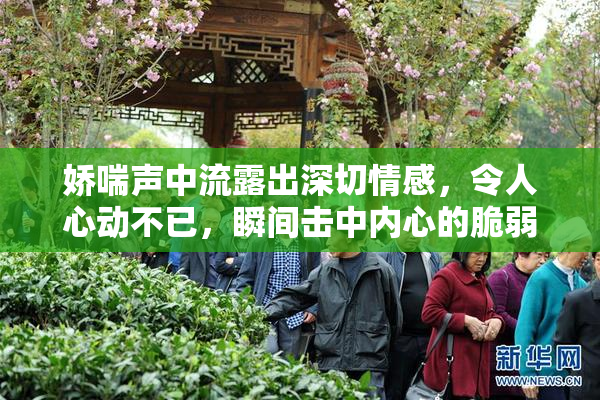 娇喘声中流露出深切情感，令人心动不已，瞬间击中内心的脆弱。