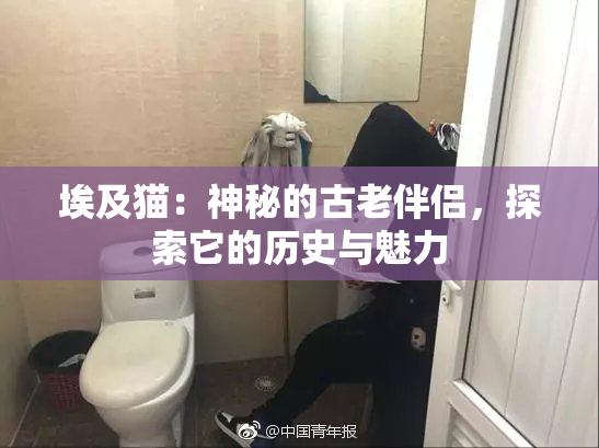 埃及猫：神秘的古老伴侣，探索它的历史与魅力
