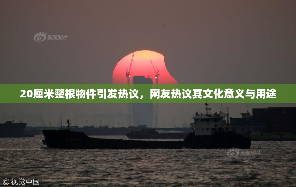 20厘米整根物件引发热议，网友热议其文化意义与用途