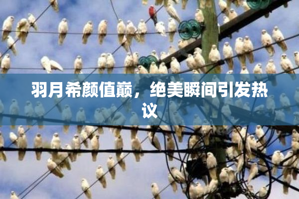 羽月希颜值巅，绝美瞬间引发热议
