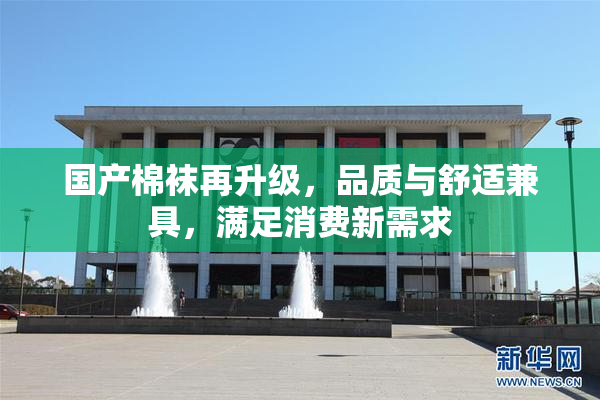 国产棉袜再升级，品质与舒适兼具，满足消费新需求