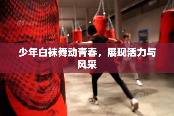 少年白袜舞动青春，展现活力与风采