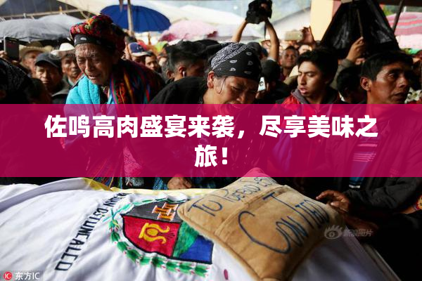 佐鸣高肉盛宴来袭，尽享美味之旅！
