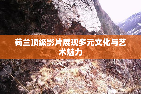 荷兰顶级影片展现多元文化与艺术魅力