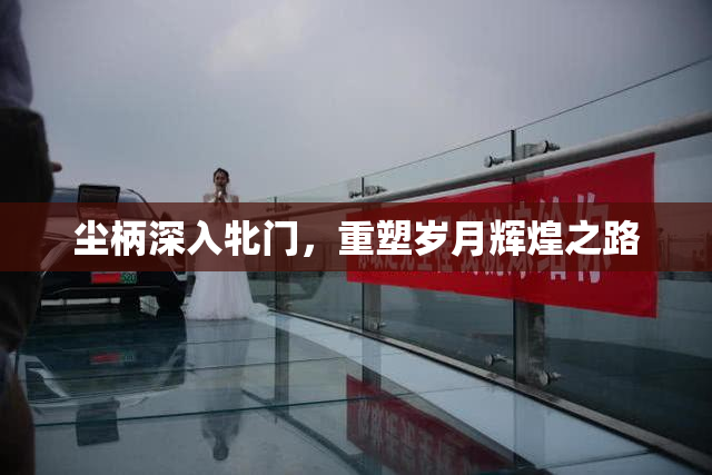 尘柄深入牝门，重塑岁月辉煌之路