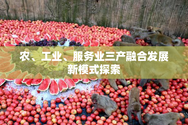 农、工业、服务业三产融合发展新模式探索