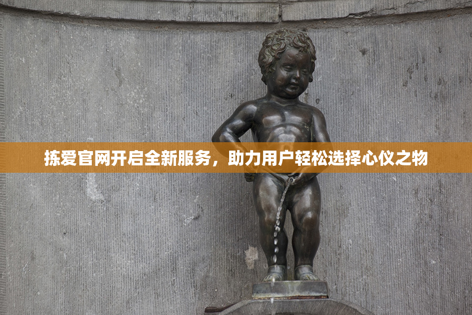 拣爱官网开启全新服务，助力用户轻松选择心仪之物