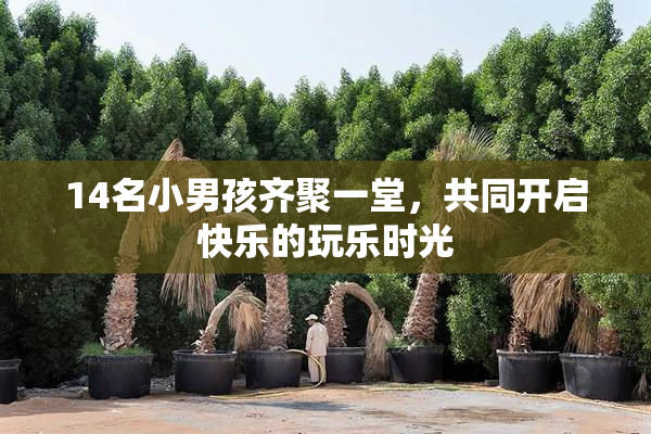 14名小男孩齐聚一堂，共同开启快乐的玩乐时光