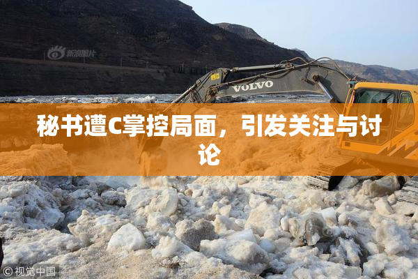 秘书遭C掌控局面，引发关注与讨论