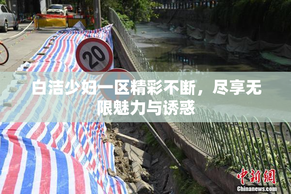 白洁少妇一区精彩不断，尽享无限魅力与诱惑