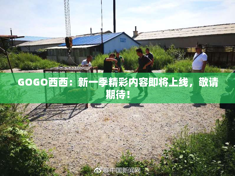 GOGO西西：新一季精彩内容即将上线，敬请期待！