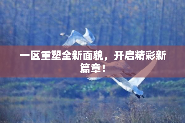 一区重塑全新面貌，开启精彩新篇章！
