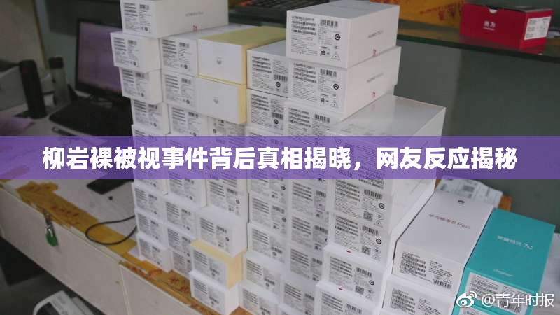 柳岩裸被视事件背后真相揭晓，网友反应揭秘