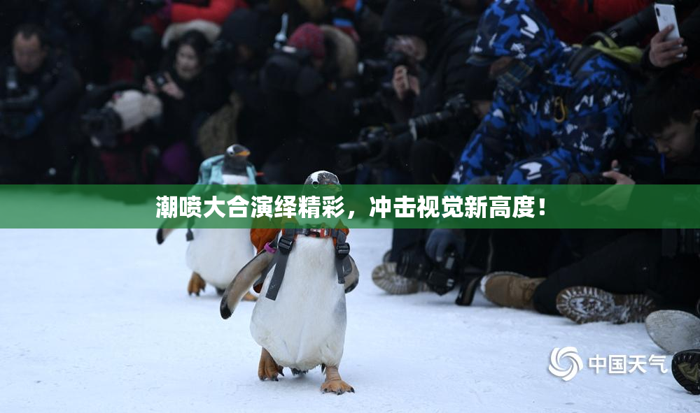 潮喷大合演绎精彩，冲击视觉新高度！