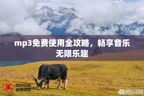 mp3免费使用全攻略，畅享音乐无限乐趣