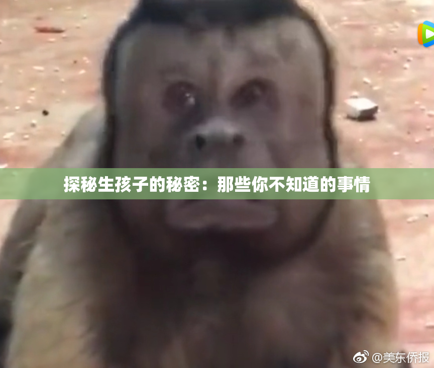 探秘生孩子的秘密：那些你不知道的事情