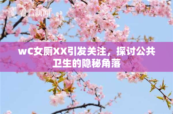 wC女厕XX引发关注，探讨公共卫生的隐秘角落