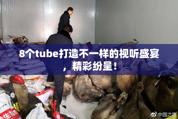 8个tube打造不一样的视听盛宴，精彩纷呈！