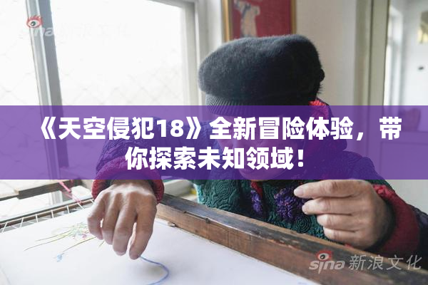 《天空侵犯18》全新冒险体验，带你探索未知领域！